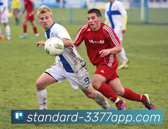 App Interface Preview