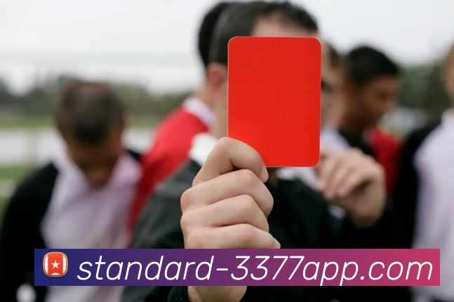 3377体育APP 封面图